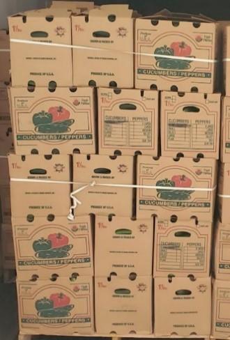 Image 1 – Cardboard Packaging stacked, containing cucumbers.