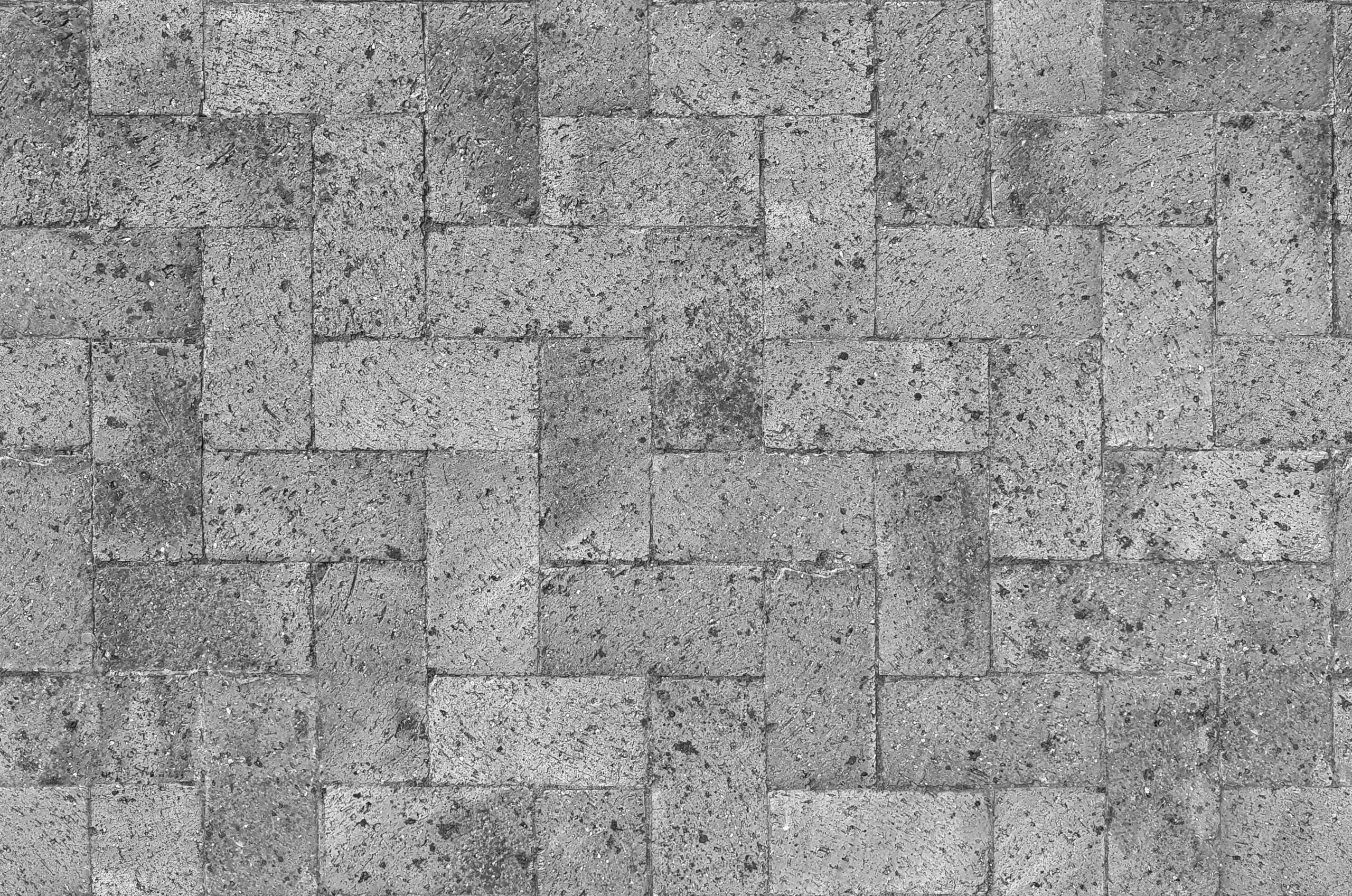 pexels-txtr-1200295-17366756